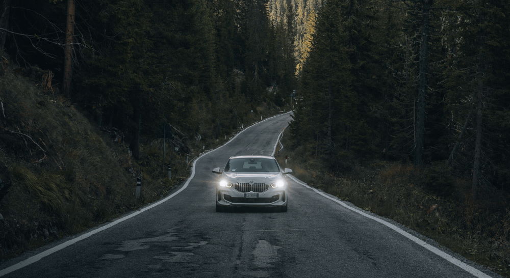 white car on road through the forest